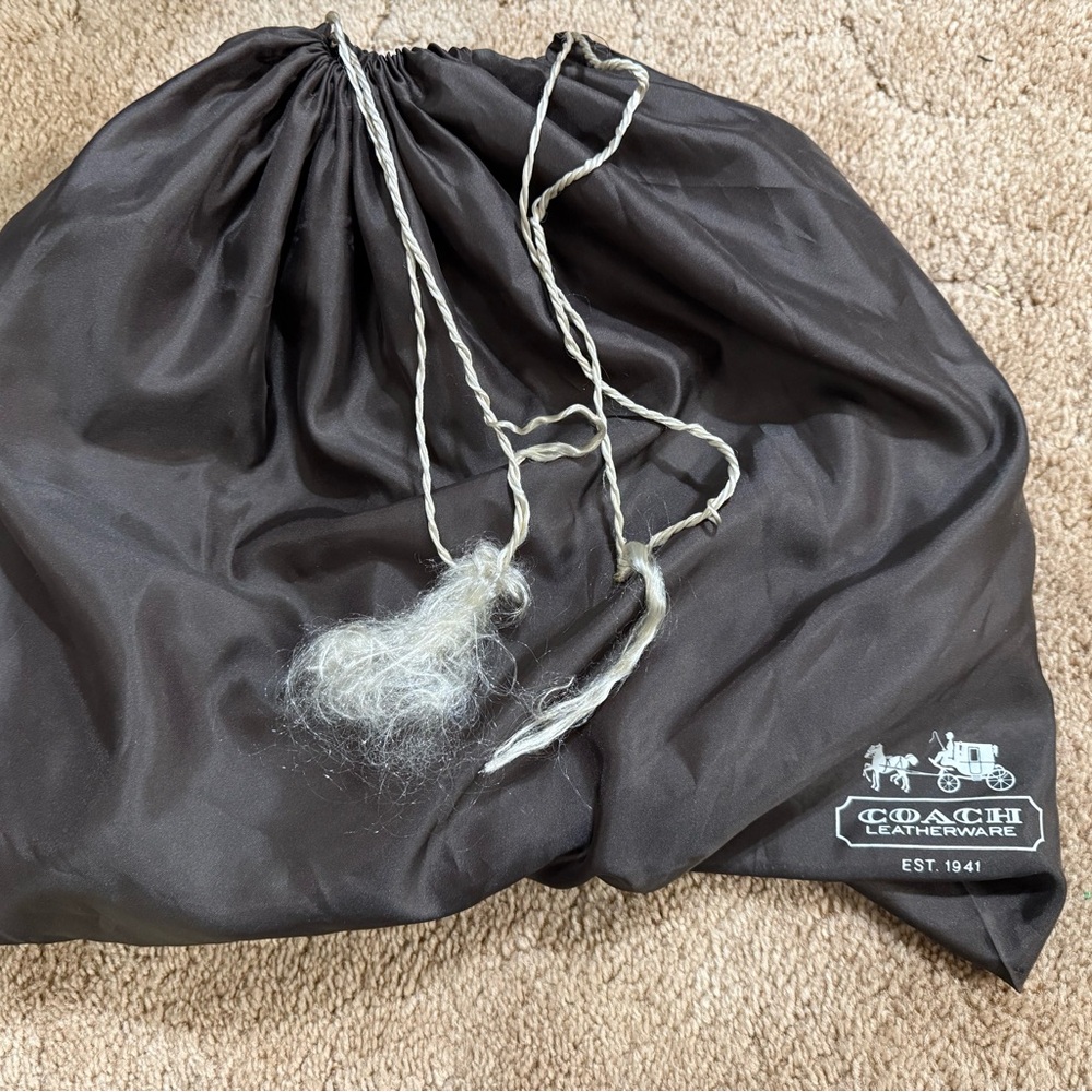 Sequin Blue Coach Poppy Backpack - image 7